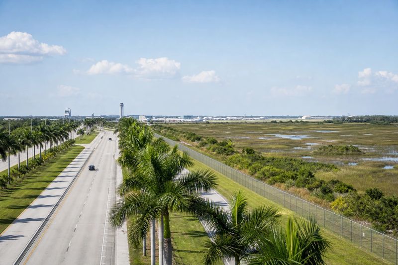 The palm-lined approach road leading to a terminal building at Orlando International Airport